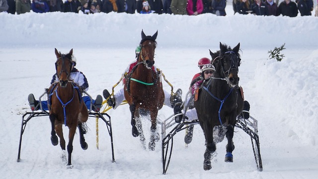 包厢从服务 包厢从服务