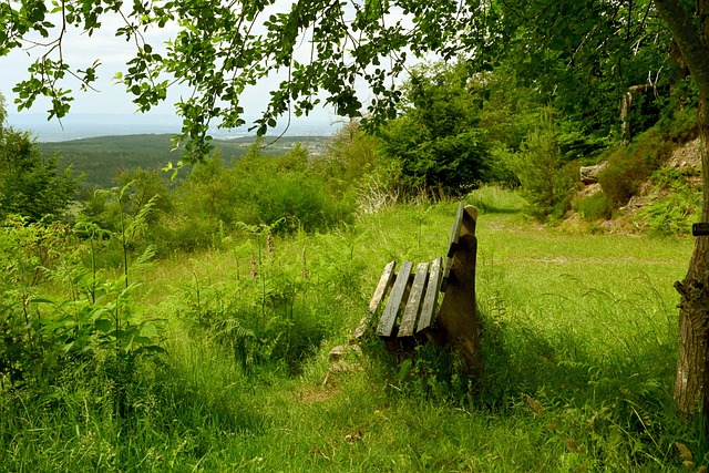 乐部官宣莱 乐部官宣莱