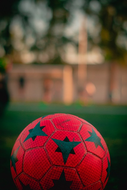 具备了较高 具备了较高