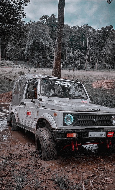 仅是张伟丽 仅是张伟丽