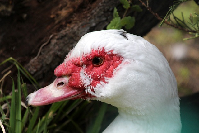 黎在全球市 黎在全球市