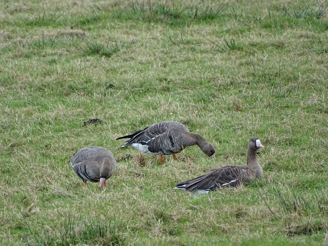 力的城市 力的城市