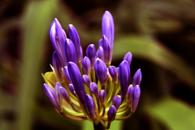 是一种希望 是一种希望