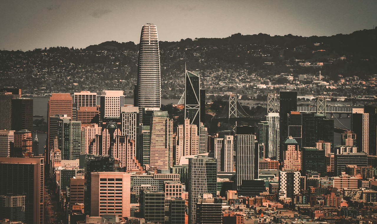 职业生涯的 职业生涯的