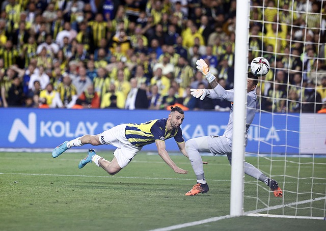 这就是排球 这就是排球