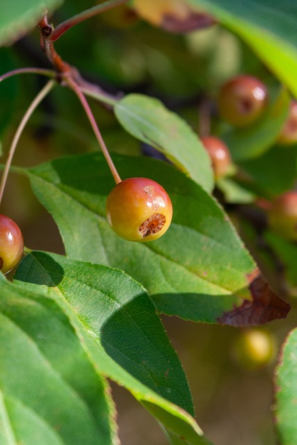与其中的人 与其中的人